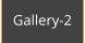 Gallery-2